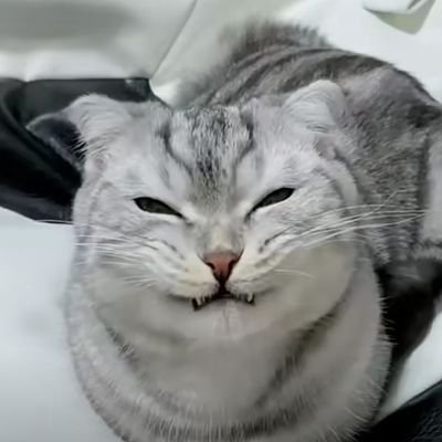 keyuser9865's profile picture. Hi