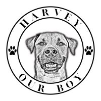 HarveyOurBoy(@harvey_our) 's Twitter Profile Photo