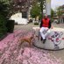 Campo Zeludi💐 (@schreibgarten) Twitter profile photo Campo Zeludi💐 (@schreibgarten) Twitter profile photo