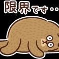 Dヲタ彼女の影響で少しずつディズニー好きになってきました😆自分はあんまりわからないのですが、彼女と楽しみたいので色々教えて下さい٩(●˙▽˙●)۶無言フォローごめんなさい💦