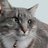 PeterHLemieux's profile image