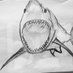@Megalodon_mom_