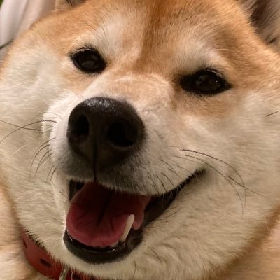 ぬさんのプロフィール画像