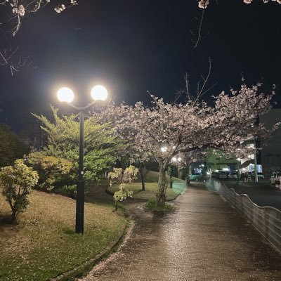 まったりです♪よろしくお願いします♪ 荒野、ツムツムやってます カフェや、カラオケが好き