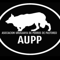 ASOCIACIÓN URUGUAYA DE PERROS DE PASTOREO - AUPP (@uruguayaaupp) 's Twitter Profile