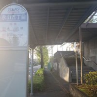 ぬまお (@dalse_p) 's Twitter Profile