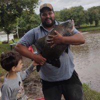 Paulo Afonso (@pauloaf18547247) 's Twitter Profile