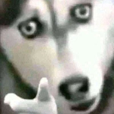 arknet20's profile picture. i dunno