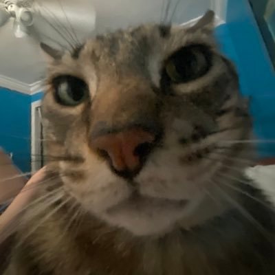 ClydeFinkle's profile picture. Avid YBN Nahmir Listener