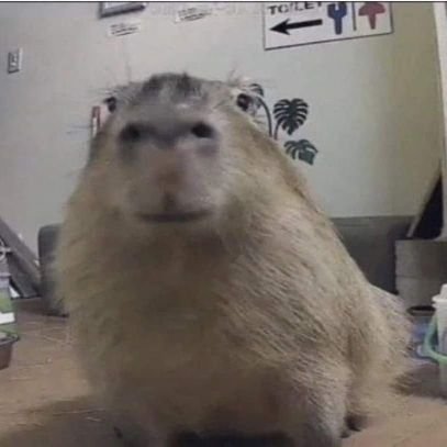 Serratitooo's profile picture. 