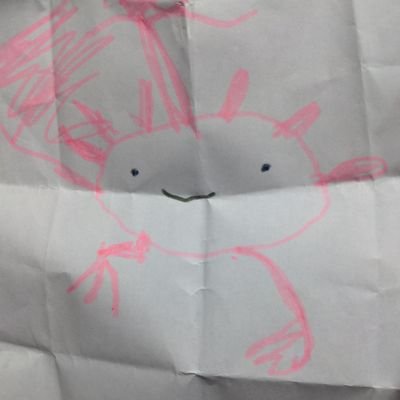 Redash が好きでブログを書いたり、Redash Meetup というイベントを不定期に主催していました。三兄弟の長男であり左利きです。すみっコぐらしでは「とかげ」が好きです。