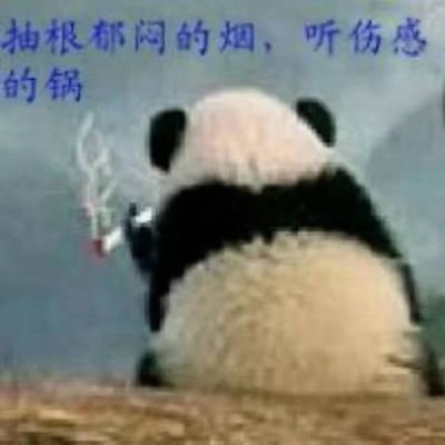 wsb665678's profile picture. 