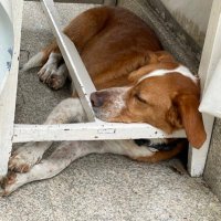 Frederic Monell (@fmonell) 's Twitter Profile