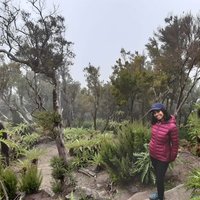 NK (@pistachio_chat) 's Twitter Profile