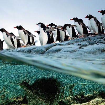 JhonnyToapanta3's profile picture. 