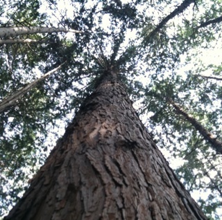 poongryu31's profile picture. 