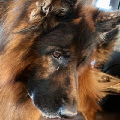 JNShrink's profile picture. Clinical psychologist and CTO of Speare Journal. Livs in Norway Trondheim. Loves technology, psychology, and the intersection of the two.