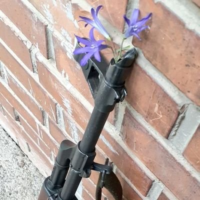 احتمال باخت ندادن ما نزدیک به صفر؛ تقریبا هیچ است.