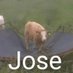 josenietoo (@josenietoo9) Twitter profile photo josenietoo (@josenietoo9) Twitter profile photo
