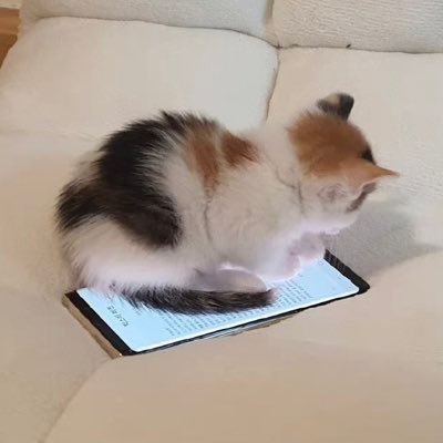 ohmy1313's profile picture. 