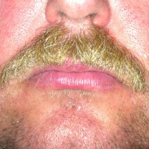 askamustache's profile picture. I'm a mustache looking for other people who like or have 'staches. Ask me anything and I'll answer it from a mustache's perspective. Hoping to get a book deal