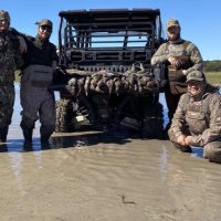 fiveoaks (@fiveoaksranchtx) 's Twitter Profile