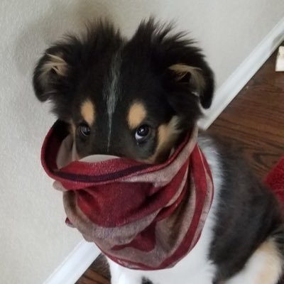 JBurian3's profile picture. DeSantis Conservative, amateur photographer, astro and landscape.