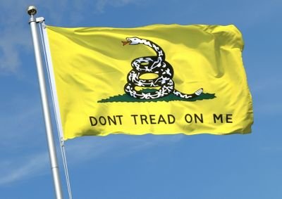 AndreasThiele20's profile picture. Wer mit der Herde geht, kann nur Ärschen folgen.