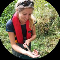 Harriet Alvis (@harrietalvis) 's Twitter Profile