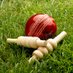 N.E. Midweek Cricket (@midweekcricket) Twitter profile photo N.E. Midweek Cricket (@midweekcricket) Twitter profile photo