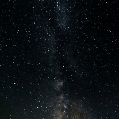 DreamingMonarch's profile picture. 