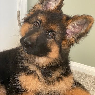 johncamarota77's profile picture. 