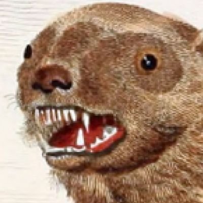 heinous_anuss's profile picture. Qunt trader. High frequency trading market making hedging flow algo. 
Your mentor's mentor. Your quant's quant. Your market maker's market maker.