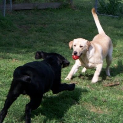 DBates18005556's profile picture. 