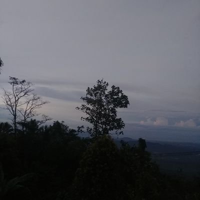 apaajadahnyo's profile picture. 
