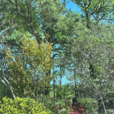 bboi69420's profile picture. 