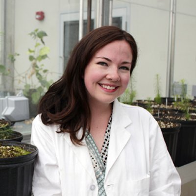 Plant Biologist 🌱🧬 | Cold, Heat & Drought Stress in Conifers | PhD Student in the Ensminger Lab | Way Lab Alum | Mom to a Little Scientist in Training