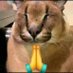 Javier (@javier60783014) Twitter profile photo Javier (@javier60783014) Twitter profile photo