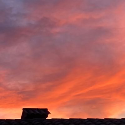 _ainaraa's profile picture. Gure zirku haundi hontan, listo gehiegi dago ta, tontoak dira nagusi