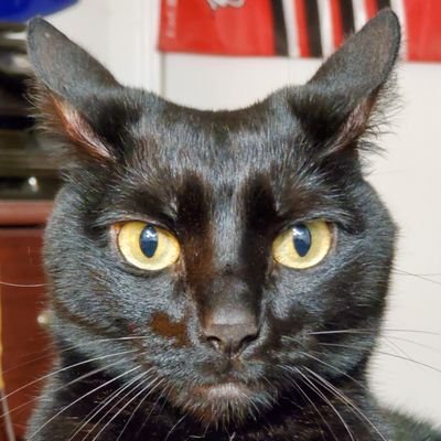 JerryWr73342756's profile picture. 