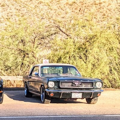 shark_stang's profile picture. I go through tires at an alarming rate