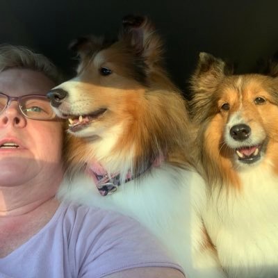Crazy Sheltie mom and passionate event manager