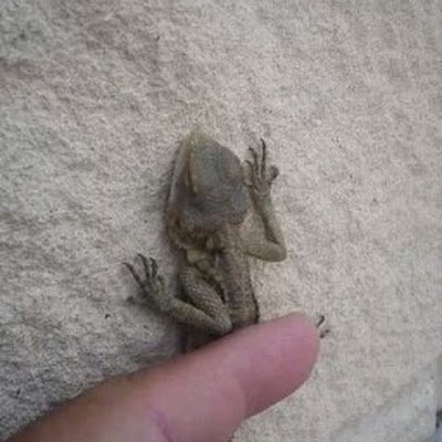 FinikasN's profile picture. Εξέλιξη