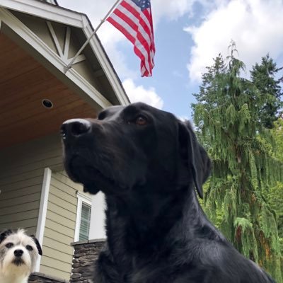 🇺🇸 MAGA 🇺🇸 America 1st 🇺🇸 USA 🇺🇸 Army Veteran 🇺🇸 1A 🇺🇸 2A 🇺🇸 Back the Blue 🇺🇸