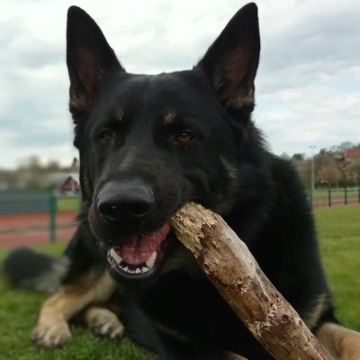 Christh73200016's profile picture. SpaceX More Than Just A Dream