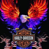 Randy Aleshire (@randyaleshire) 's Twitter Profile