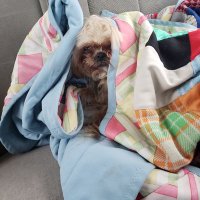 Coolio0523 (@coolio0523) 's Twitter Profile