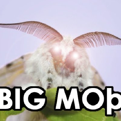 Big Moþさんのプロフィール画像