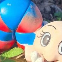 Glenlora Wild Garden (@glenlorag) Twitter profile photo