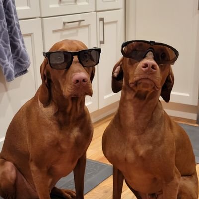 JenniferOscar92's profile picture. 